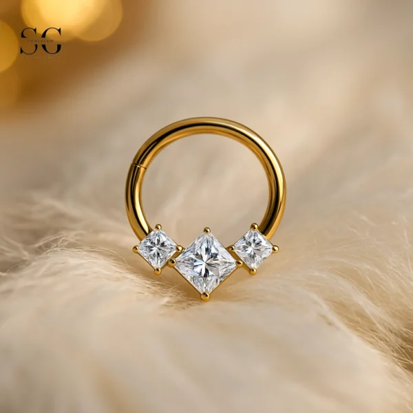 SGYS2012 - F136 Titanium Segment Clicker Ring for Ear Piercing Jewelry - Image 2