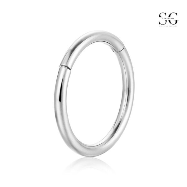 SGYS2025 - Popular Segment Clicker Ring for Piercing Studios - Image 4