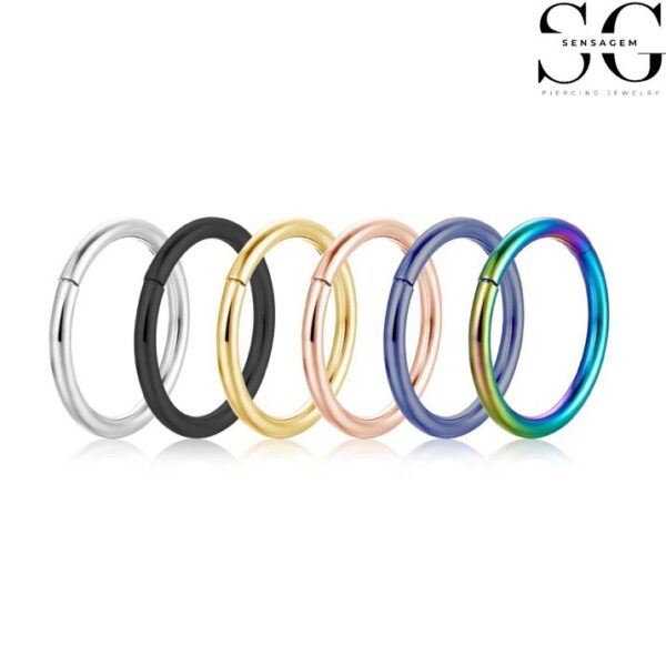 SGYS2025 - Popular Segment Clicker Ring for Piercing Studios