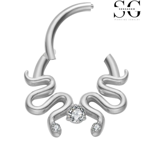 SGYS2013 - F136 Titanium Segment Clicker Ring for Ear Piercing Jewelry - Image 2