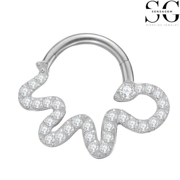 SGYS2014 - F136 Titanium Segment Clicker Ring for Helix Ear Piercing