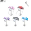 SG4095 F136 Titanium Threaded Labrets with Zircon Mushroom Design – Best Piercing Jewelry