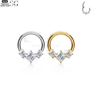 SGYS2012 - F136 Titanium Segment Clicker Ring for Ear Piercing Jewelry