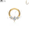 SGYS2012 - F136 Titanium Segment Clicker Ring for Ear Piercing Jewelry - Image 2