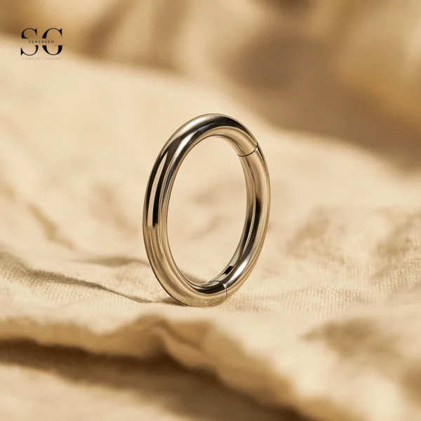 SGYS2025 - Popular Segment Clicker Ring for Piercing Studios - Image 3