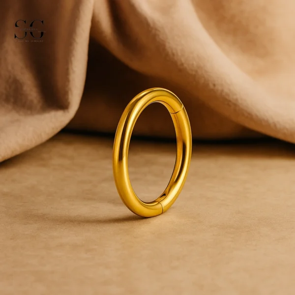 SGYS2025 - Popular Segment Clicker Ring for Piercing Studios - Image 2