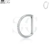 SG3099 - Premium Titanium Hinged Segment Ring with CZ Pave – ASTM F136