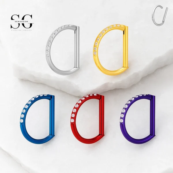 SG3099 - Premium Titanium Hinged Segment Ring with CZ Pave – ASTM F136
