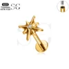 SG4076 Titanium Star Piercing Jewelry with White Zircon - Image 3
