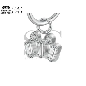 Sensagem SGYS8056 G23 Titanium Dangbang Baguette Zirkoon Crown Charm