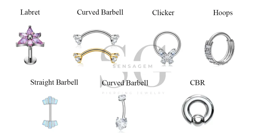 The Complete Guide to Piercing Jewelry Types, Style & Przybory 2 different piercing jewelry