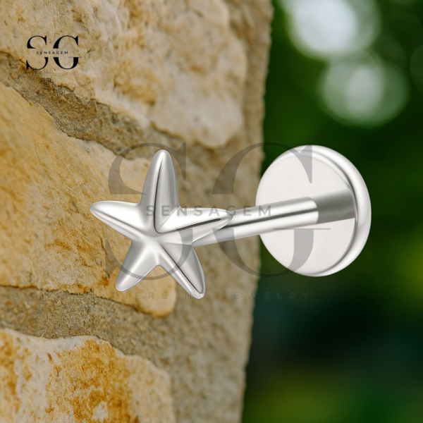 Sensagem SGYS1211 G23 Titanium Internally Threaded Star Labret